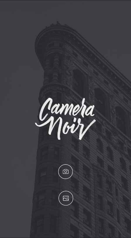 Camera Noir - Camera or Gallery