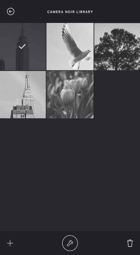 Camera Noir - Edit from Library