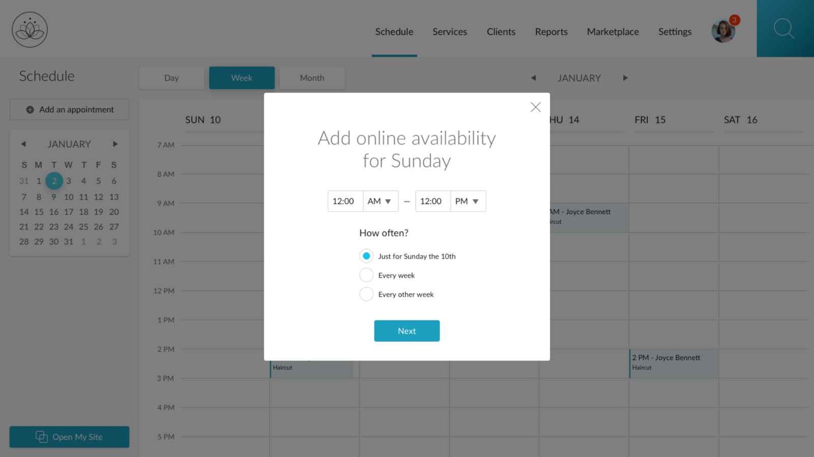 Salon 2020 - Availability