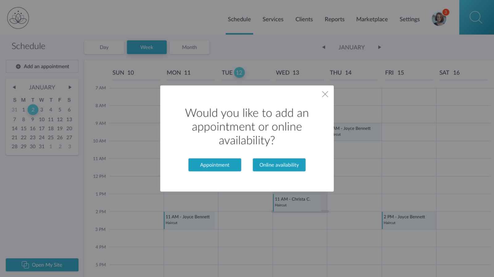 Salon 2020 - Modal Appointment or Online Availability